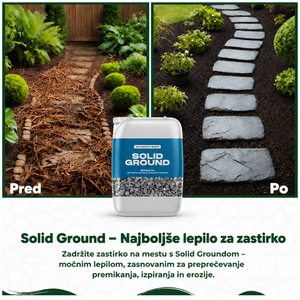 Solid Ground in the garden